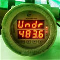 Flame Proof Indicators Dual EH22R1-EX