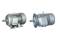 3 Phase Motor-Y series 