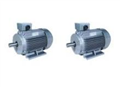 3 Phase Motor-Y2 series 