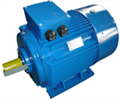 IE2,IE3 Cast Iron Electric Motors IE2,IE3