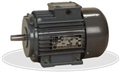 AC Induction Motor 