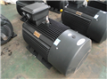 3 Phase Induction Motor Y/YKK/YKS